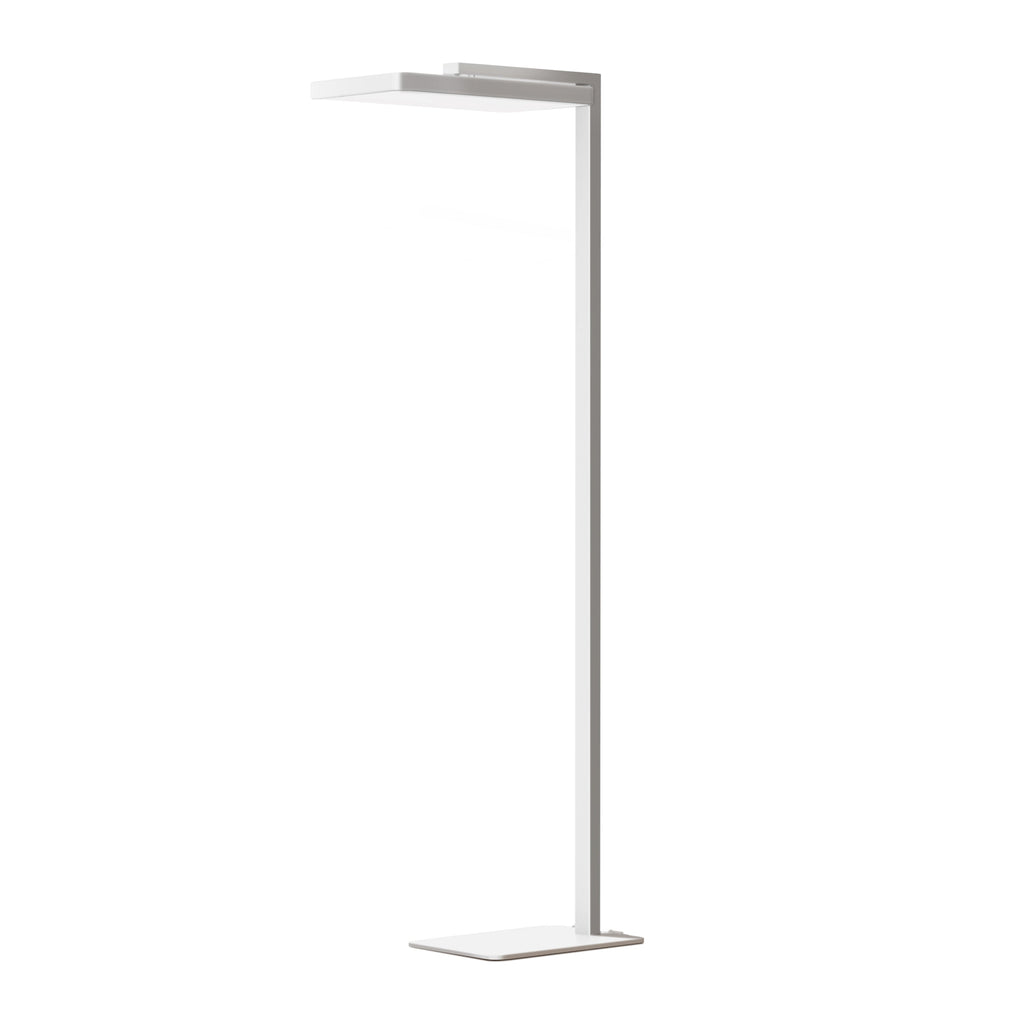 Floor Task Lamp