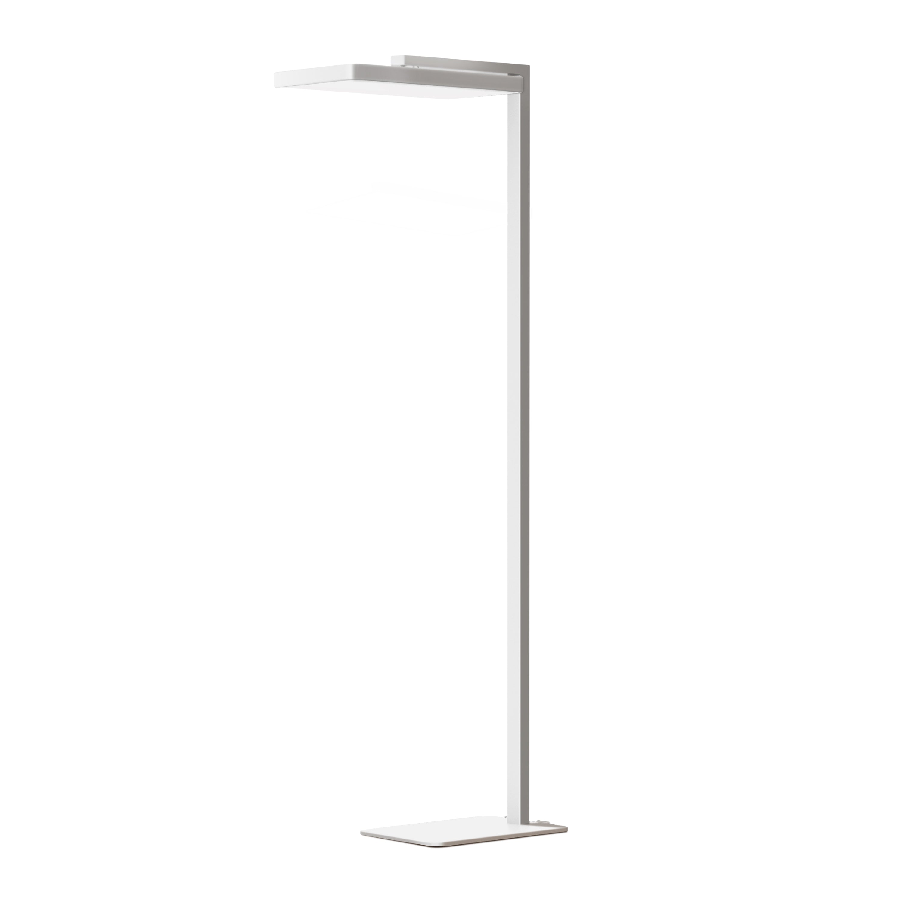 Floor Task Lamp