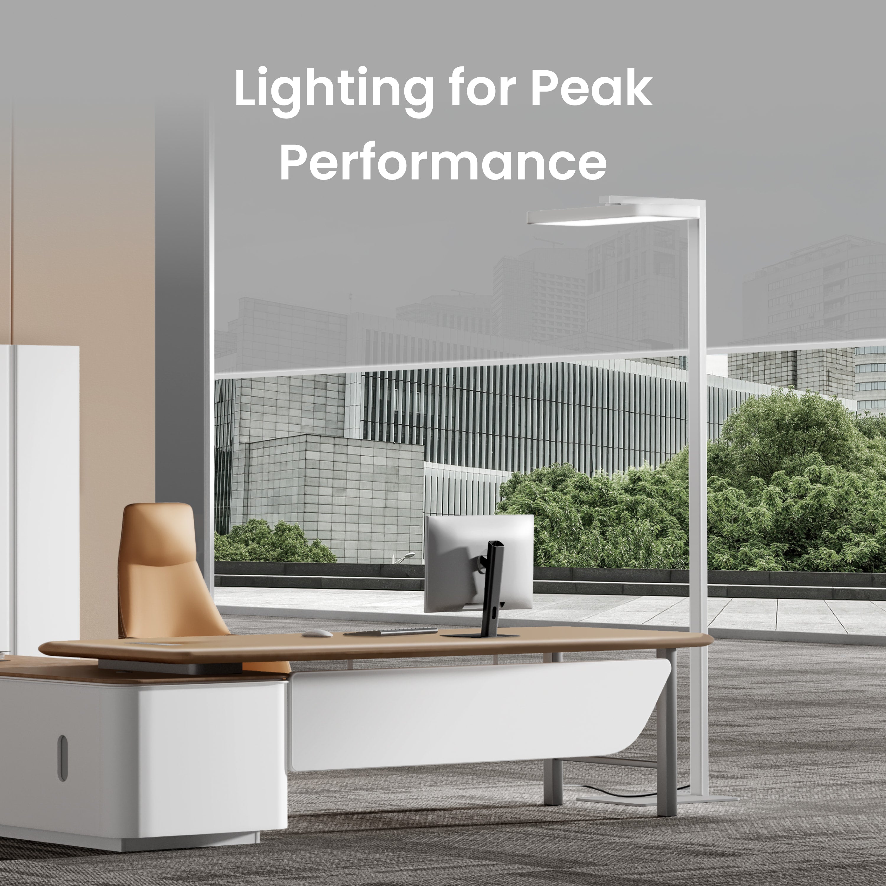 Floor Task Lamp