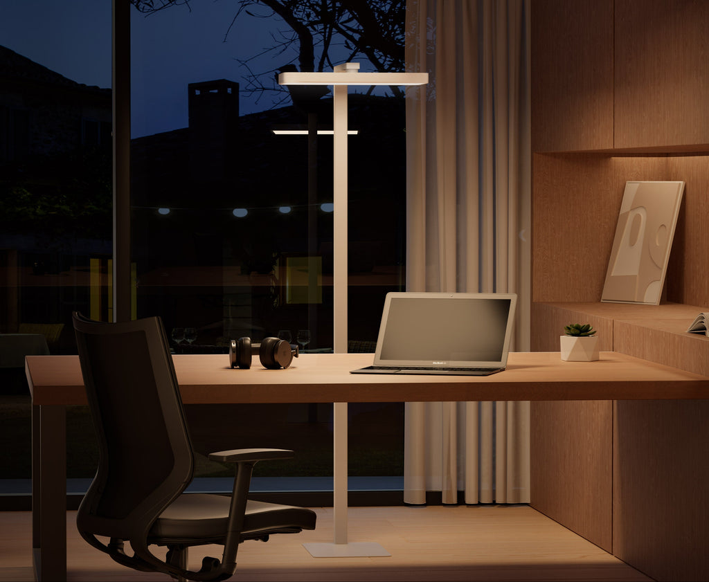 Floor Task Lamp