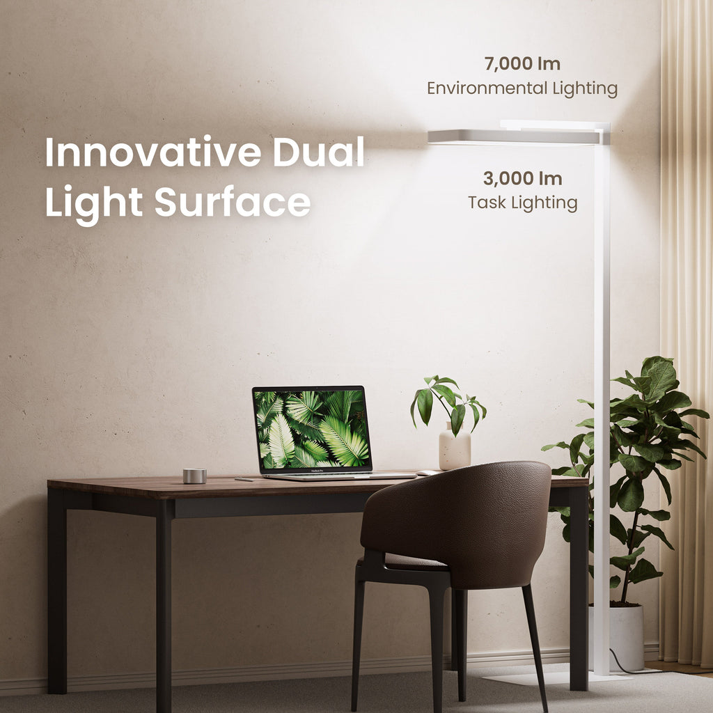 Floor Task Lamp